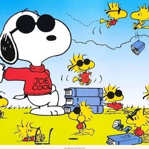 Meet your Posher, Deanne